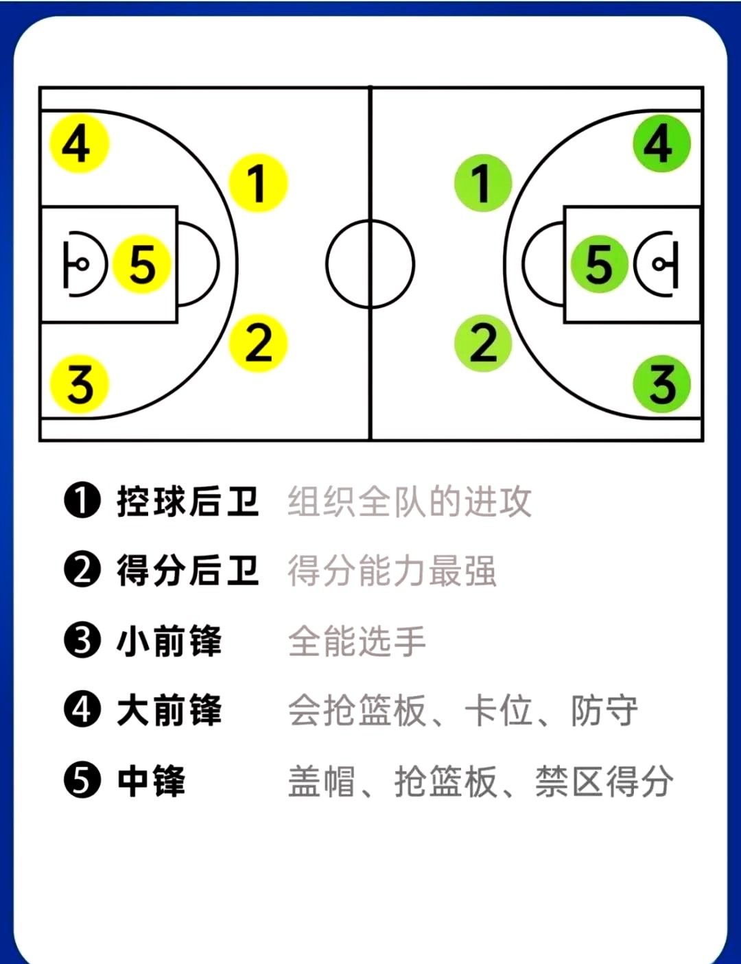哪里能找到前锋专属的篮球战术训练